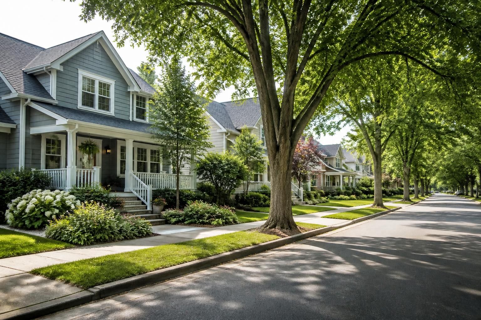 Comfortable residential homes along a calm street.